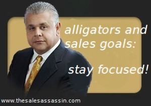 alligators and sales goals: stay focused