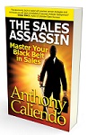 best selling business book The Sales Assassin